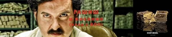 PSILOCYBIN Абинск