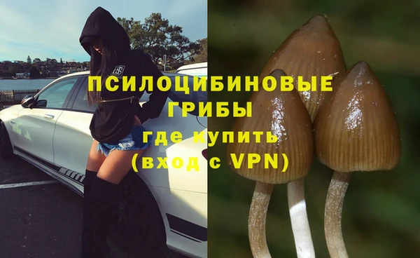 PSILOCYBIN Абинск
