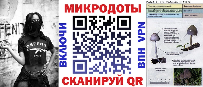 Галлюциногенные грибы Psilocybe  где найти   Суздаль 